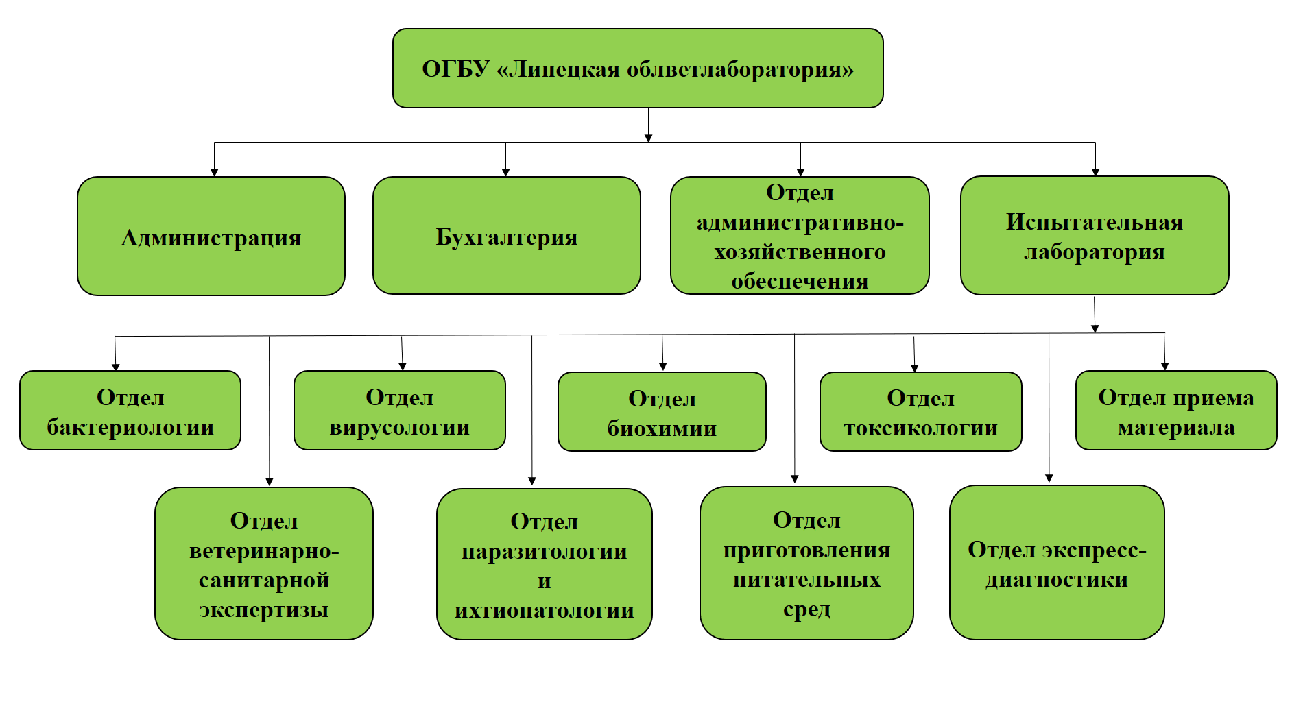 Структура ОГБУ